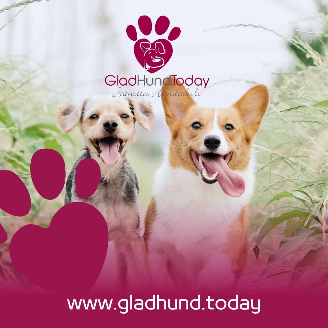 Glad hvalp omgivet af smukke blomster - hvalpetrænning hos Jeanette