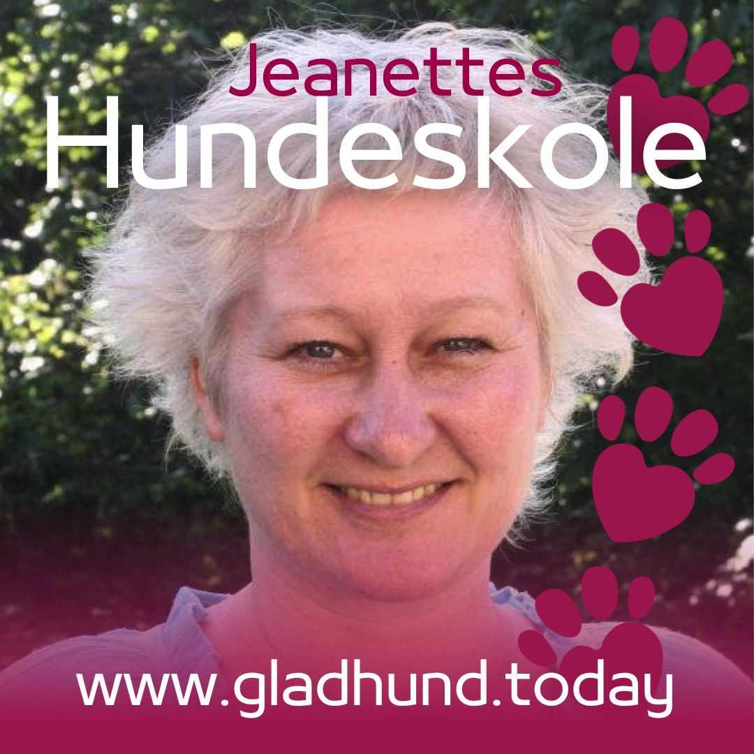 Jeanette Harboe - Professionel hundetræner med kærlighed